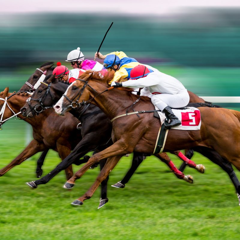 Virtual and Fantasy Sports Betting
