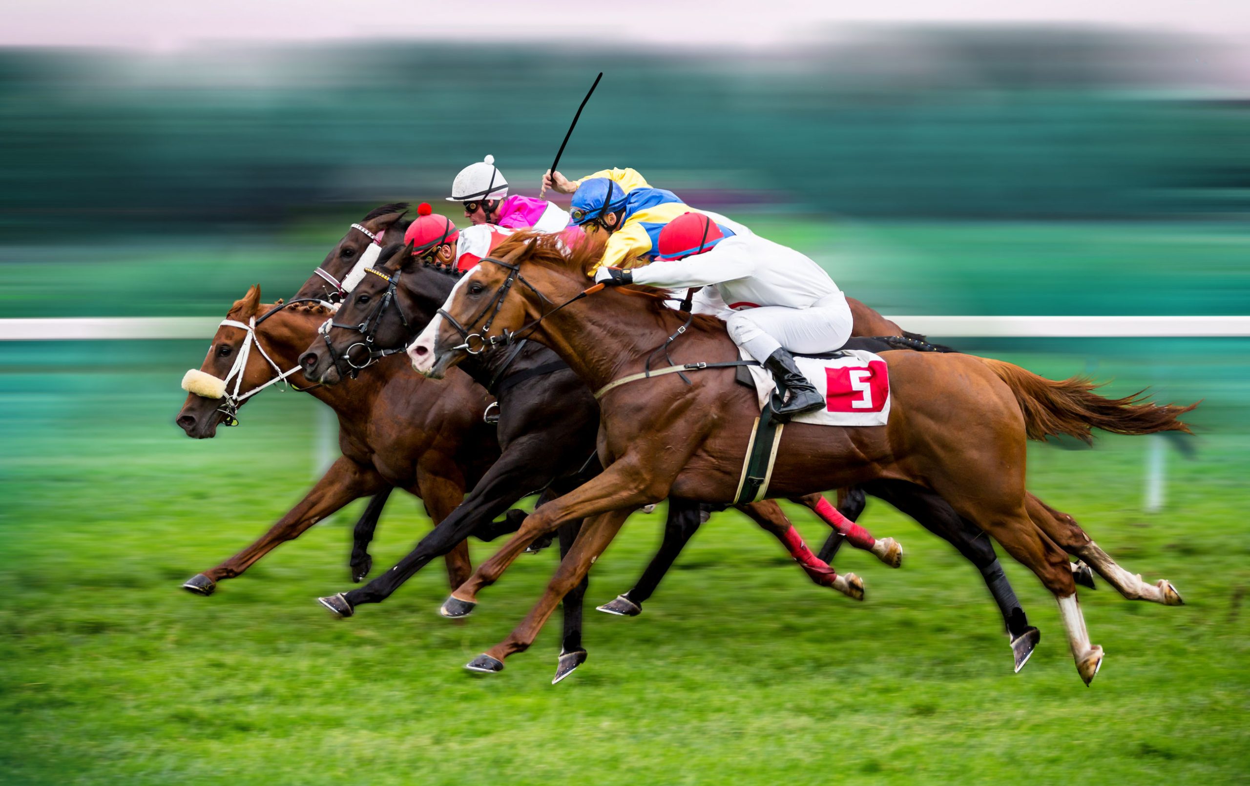 Virtual and Fantasy Sports Betting